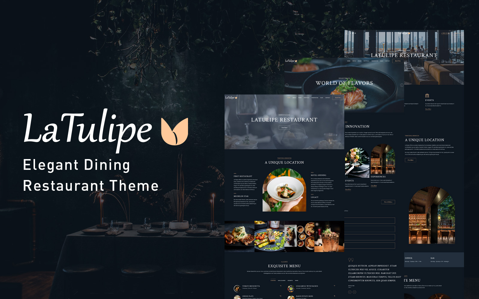 WordPress Themes