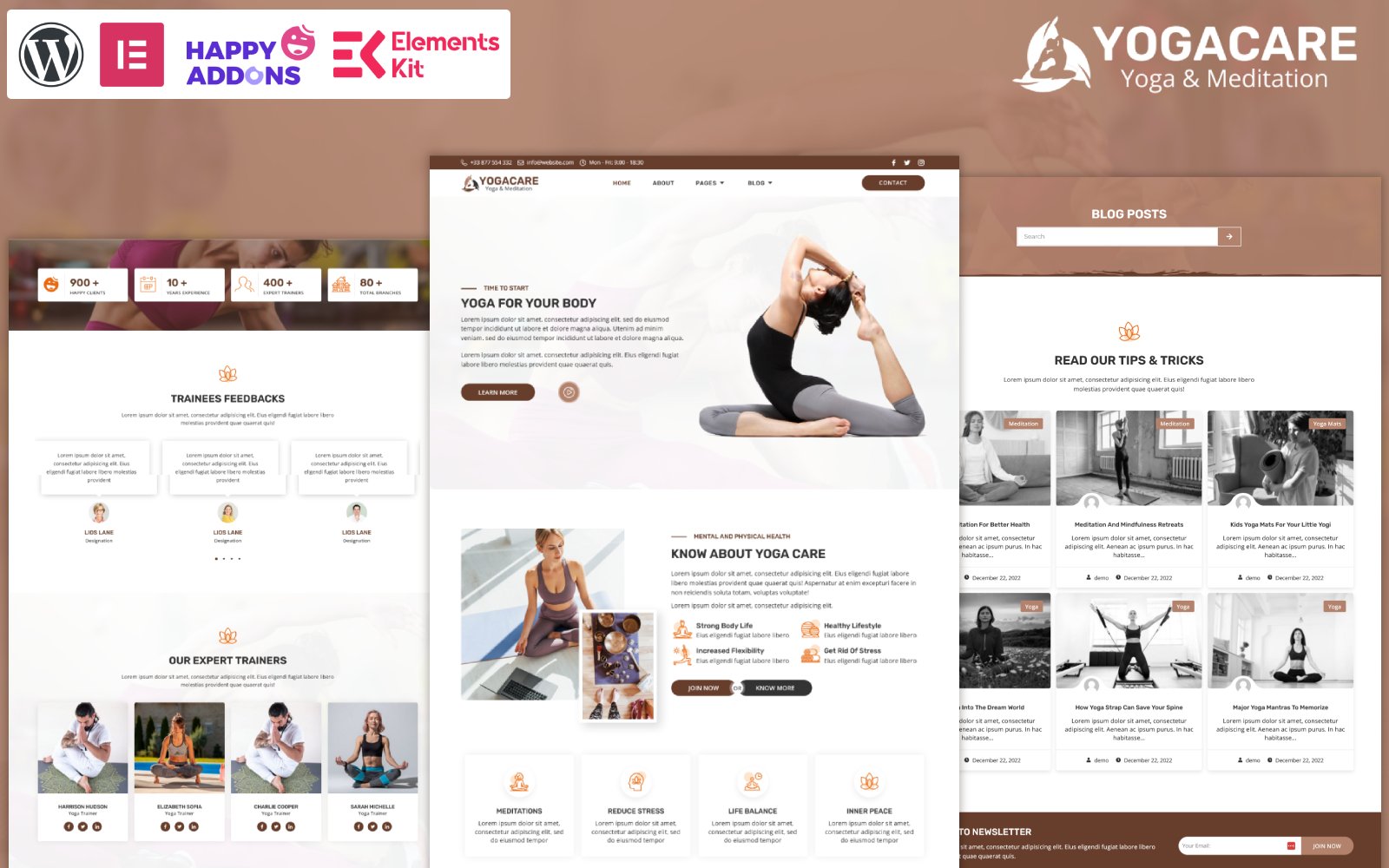 WordPress Themes