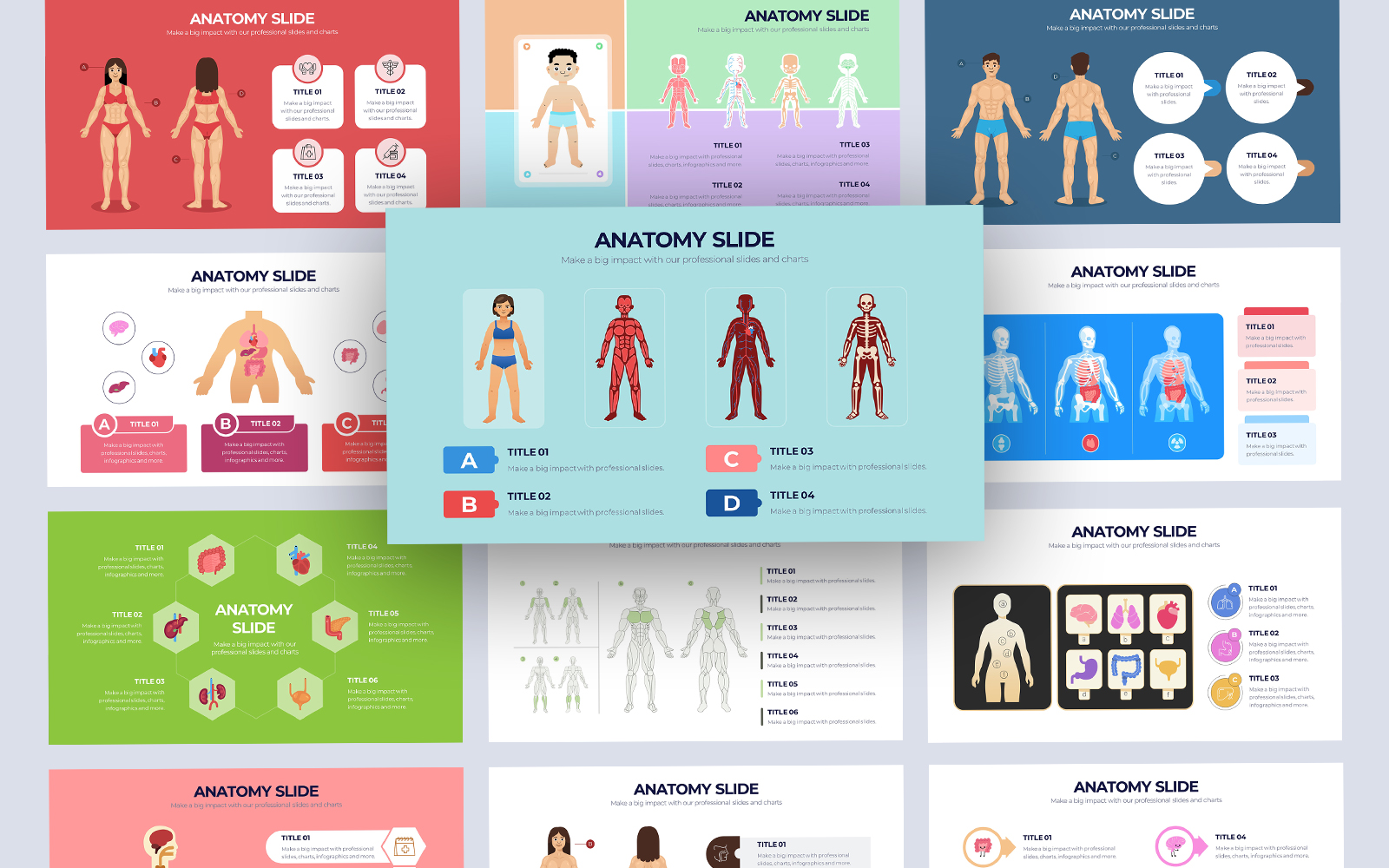 Human Anatomy Vector Infographic PowerPoint Template