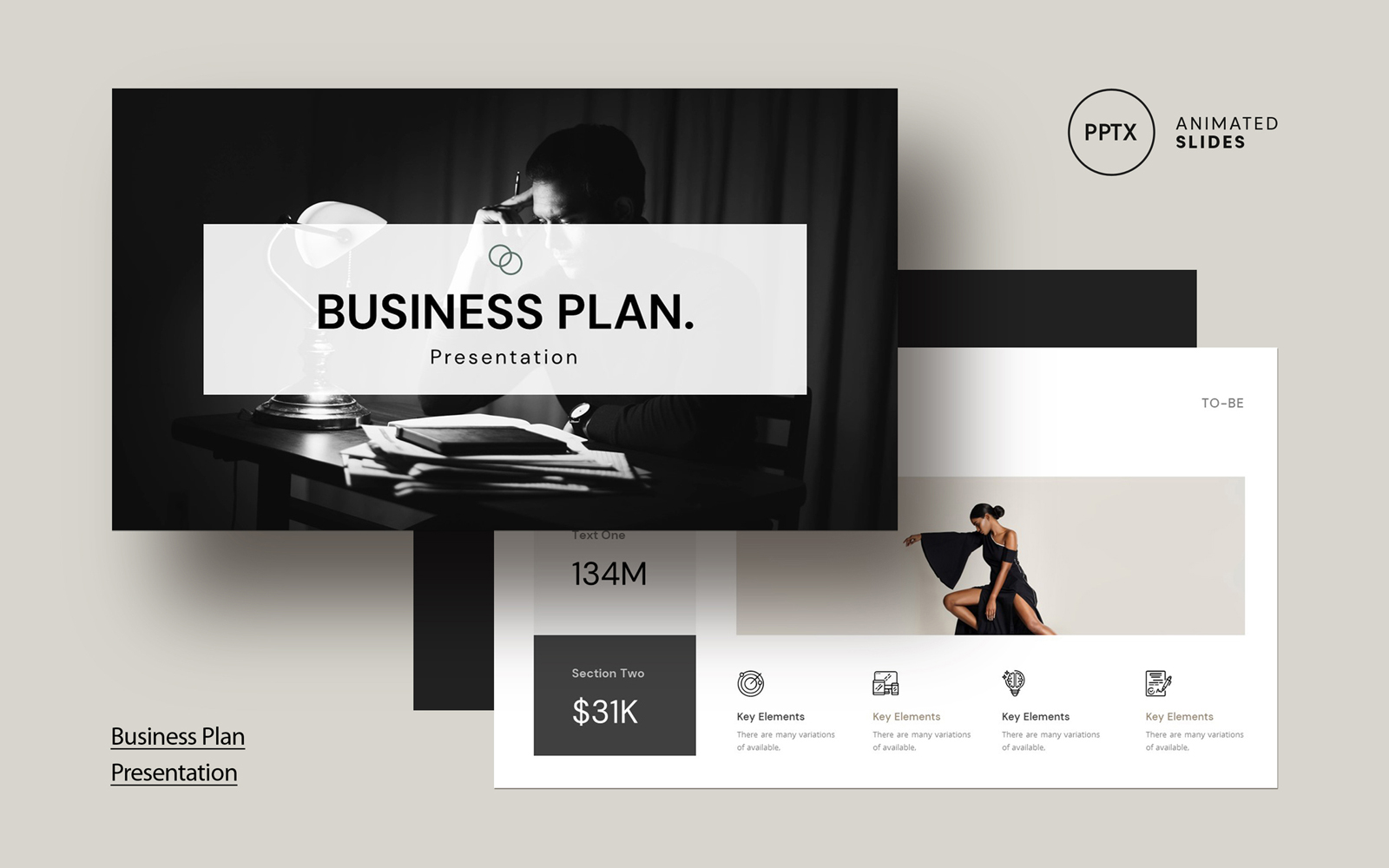 Business Plan Presentation Template Layout