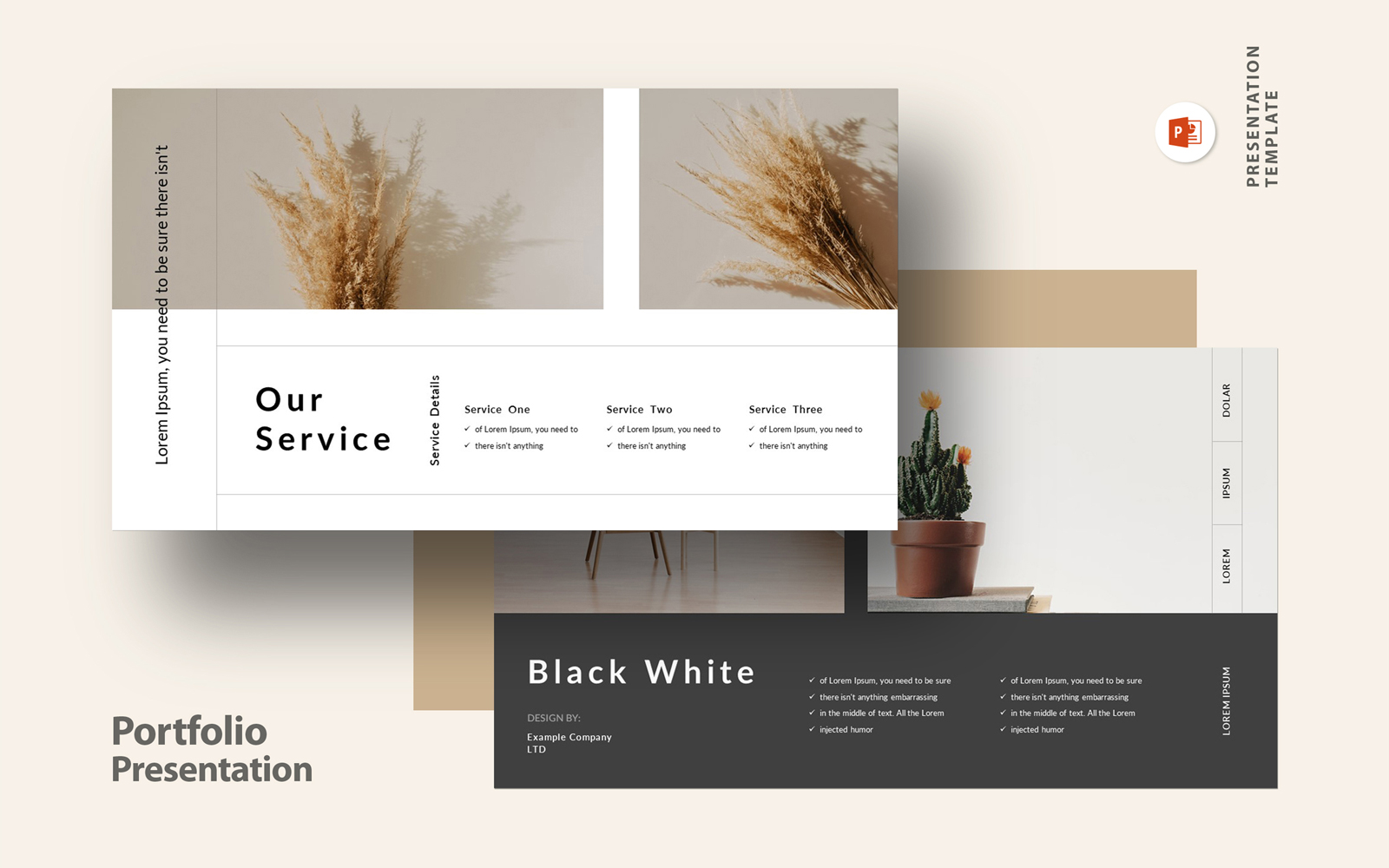 Portfolio Presentation Template