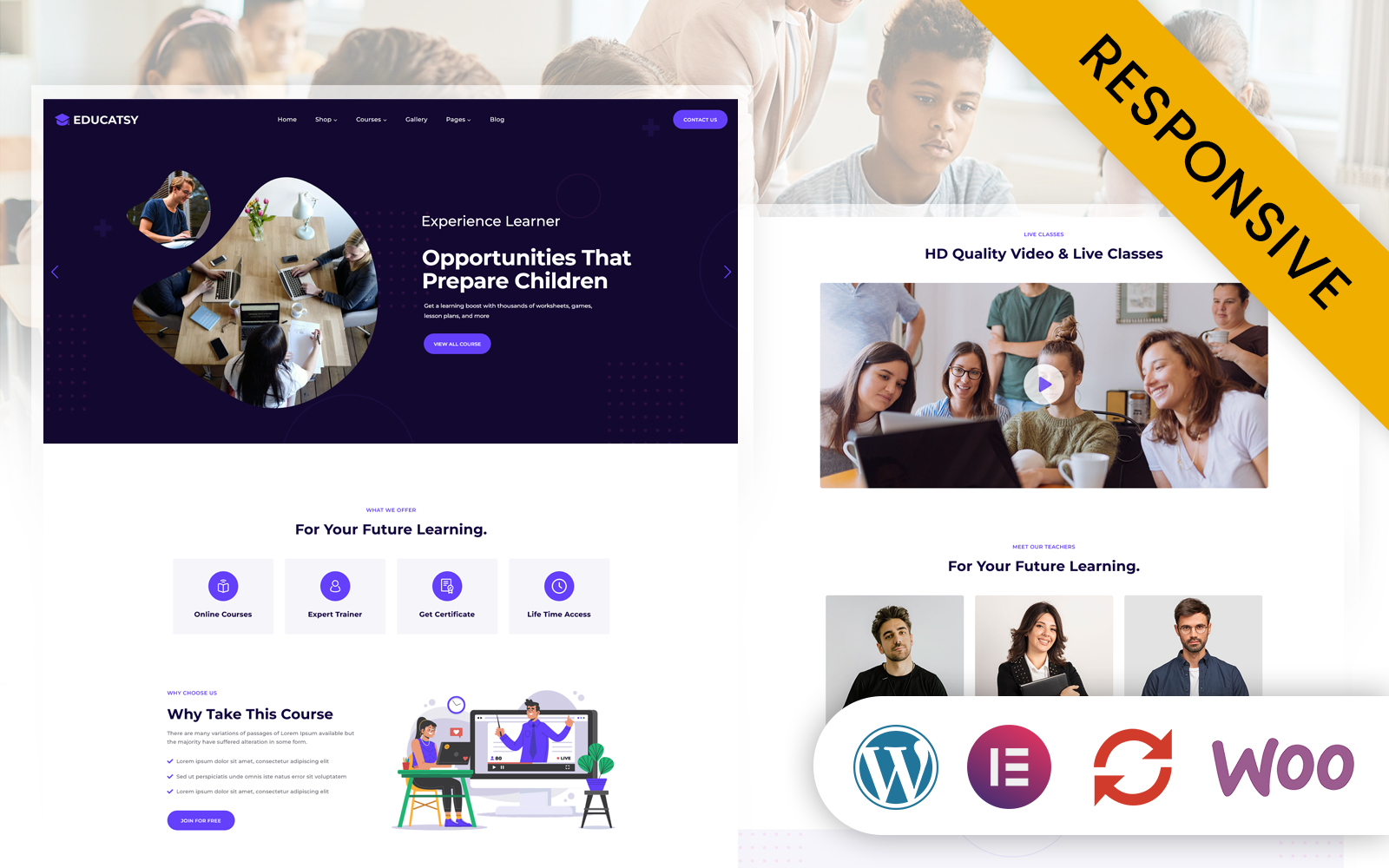 Educatsy - Education & Online Courses Elementor WordPress Theme