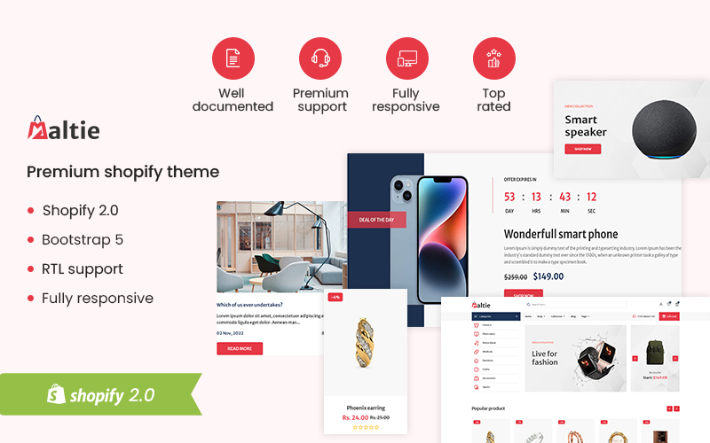 Shopify Themes