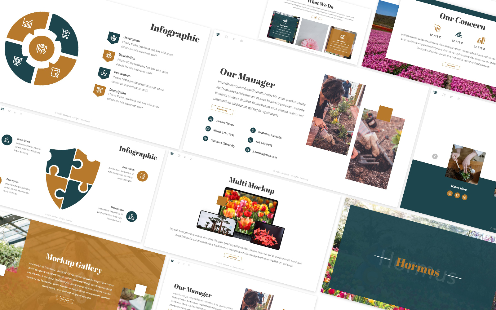 PowerPoint Templates