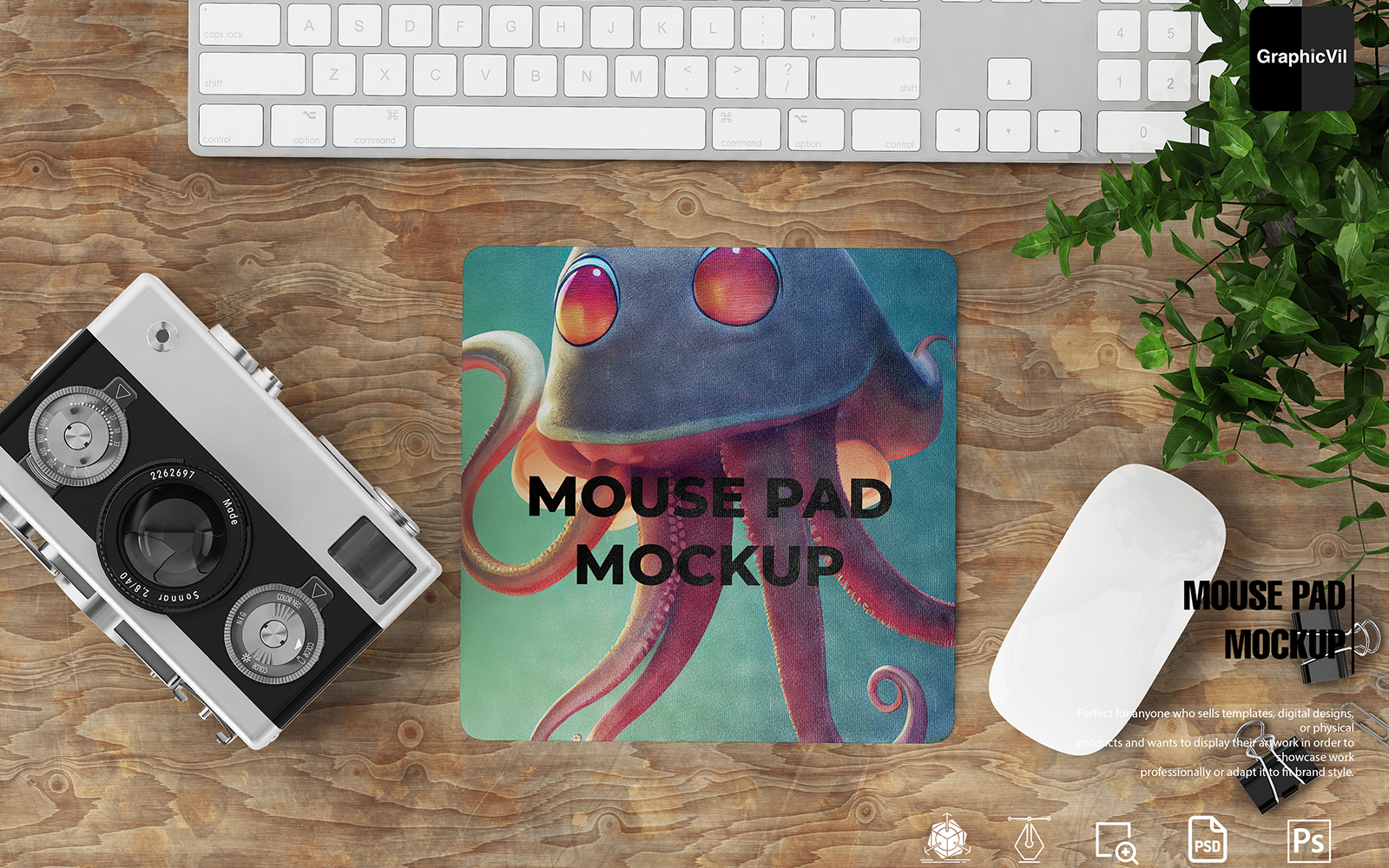 Product Mockups