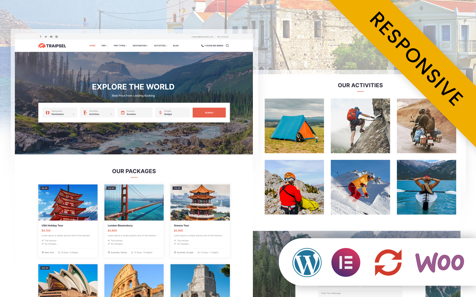 WordPress Themes