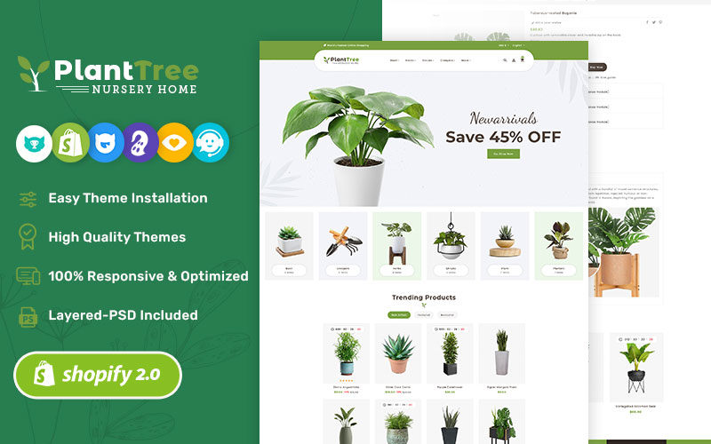 Shopify Themes