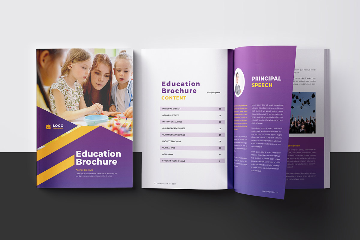 Elegant, modern and colored editorial brochure for EDLM