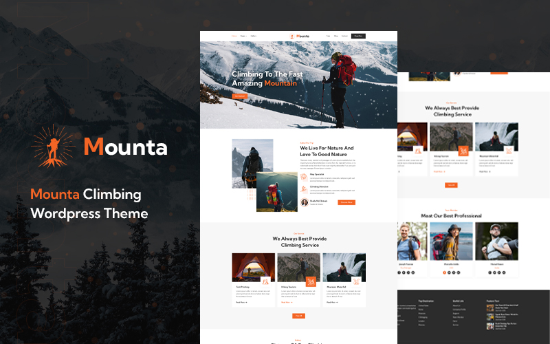 WordPress Themes