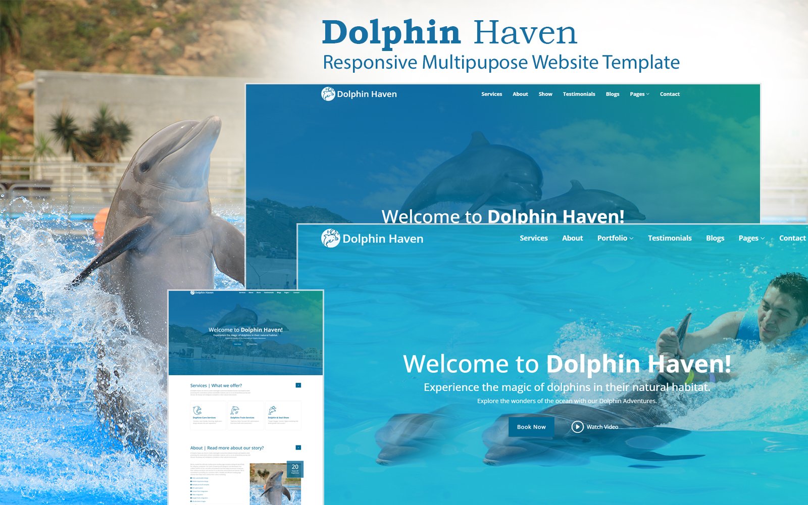 Dolphin Haven - Aquarium and Dolphinarium Website Template