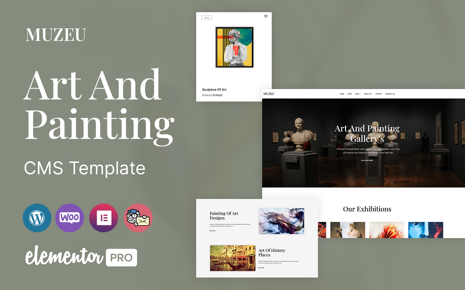 WordPress Themes