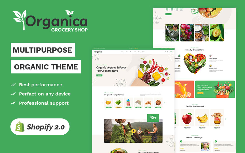Organica - Organic Fruit & Grocery Store High level Shopify 2.0 Multi-purpose Responsive Theme