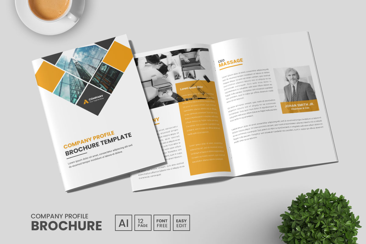 Company profile brochure template and business brochure layout design
