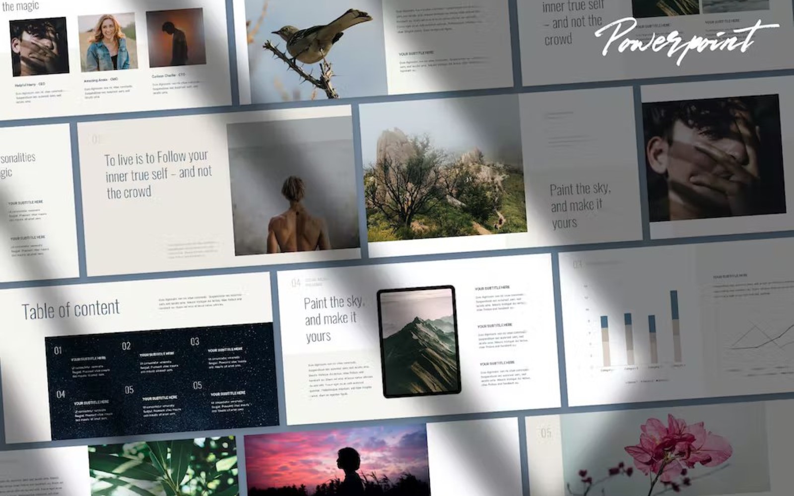 Sola - Portolio and Data Powerpoint Template
