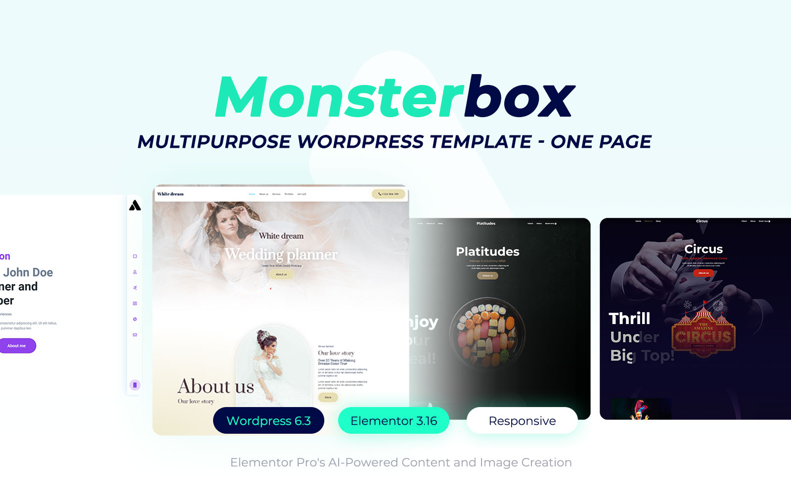 WordPress Themes