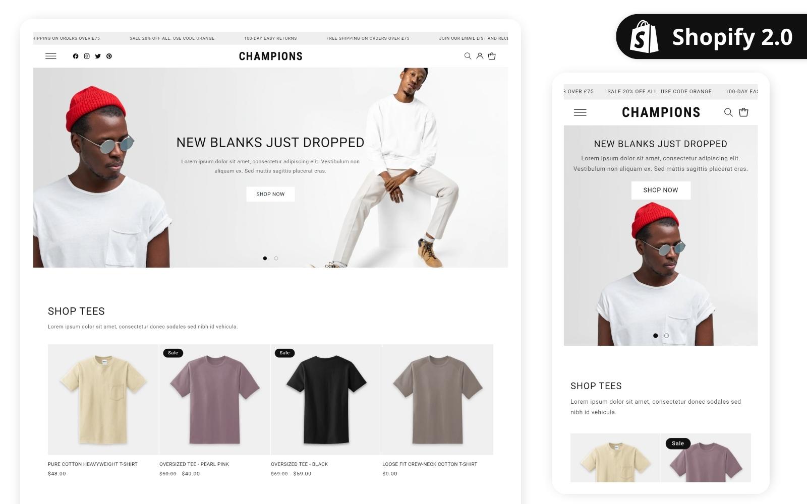 Shopify Themes