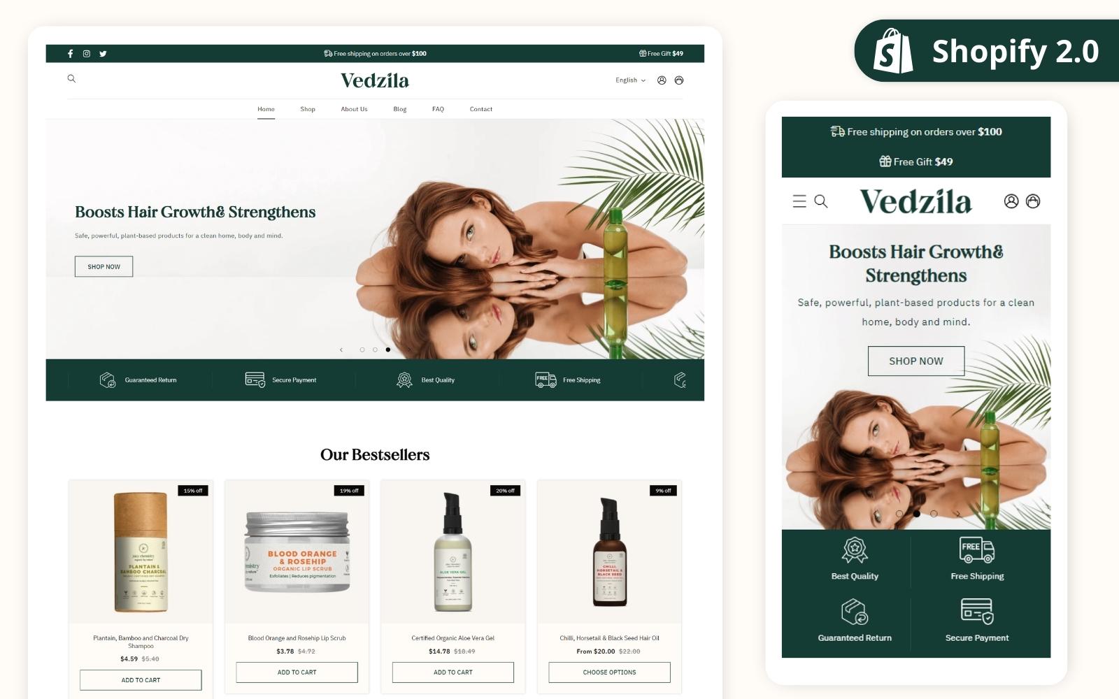 Shopify Themes