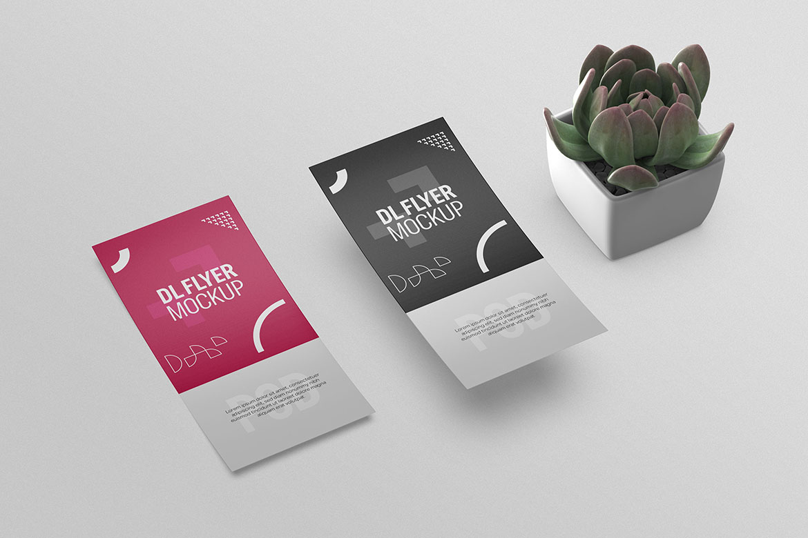 Product Mockups