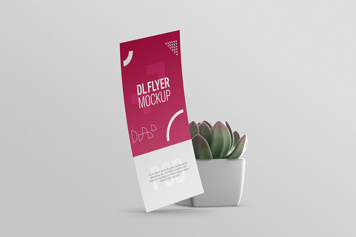 Product Mockups