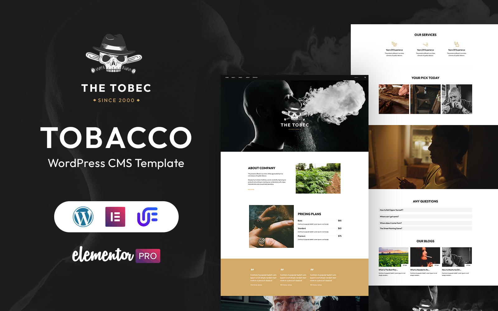 WordPress Themes