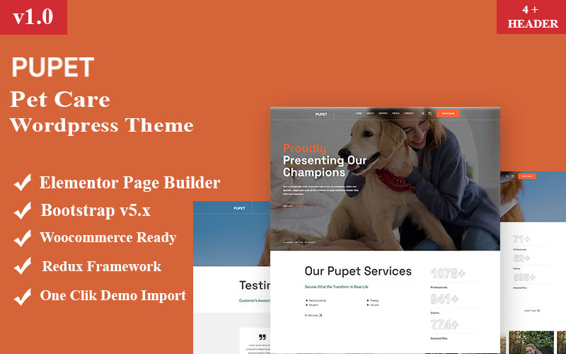 WordPress Themes