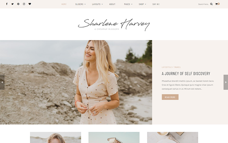 WordPress Themes