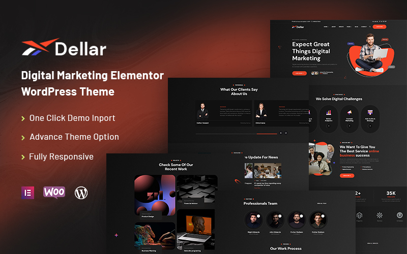 WordPress Themes