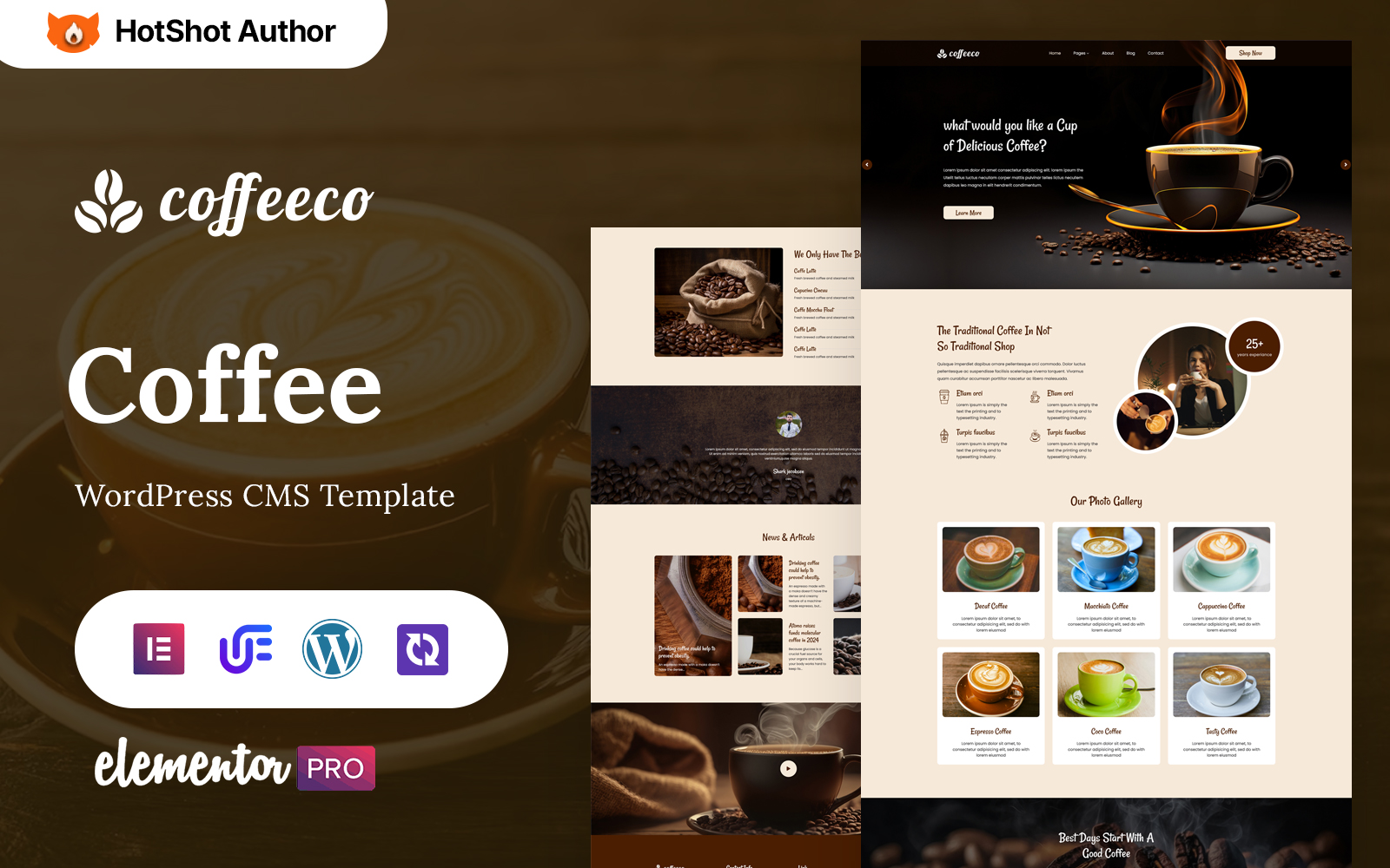 WordPress Themes