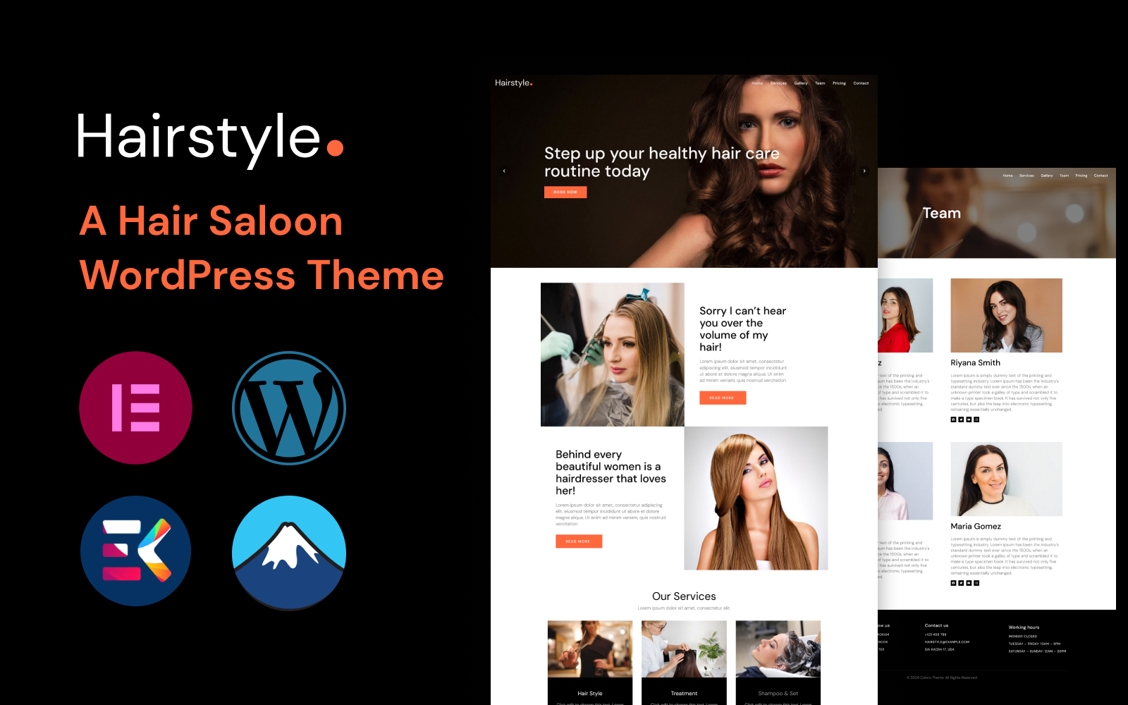 WordPress Themes