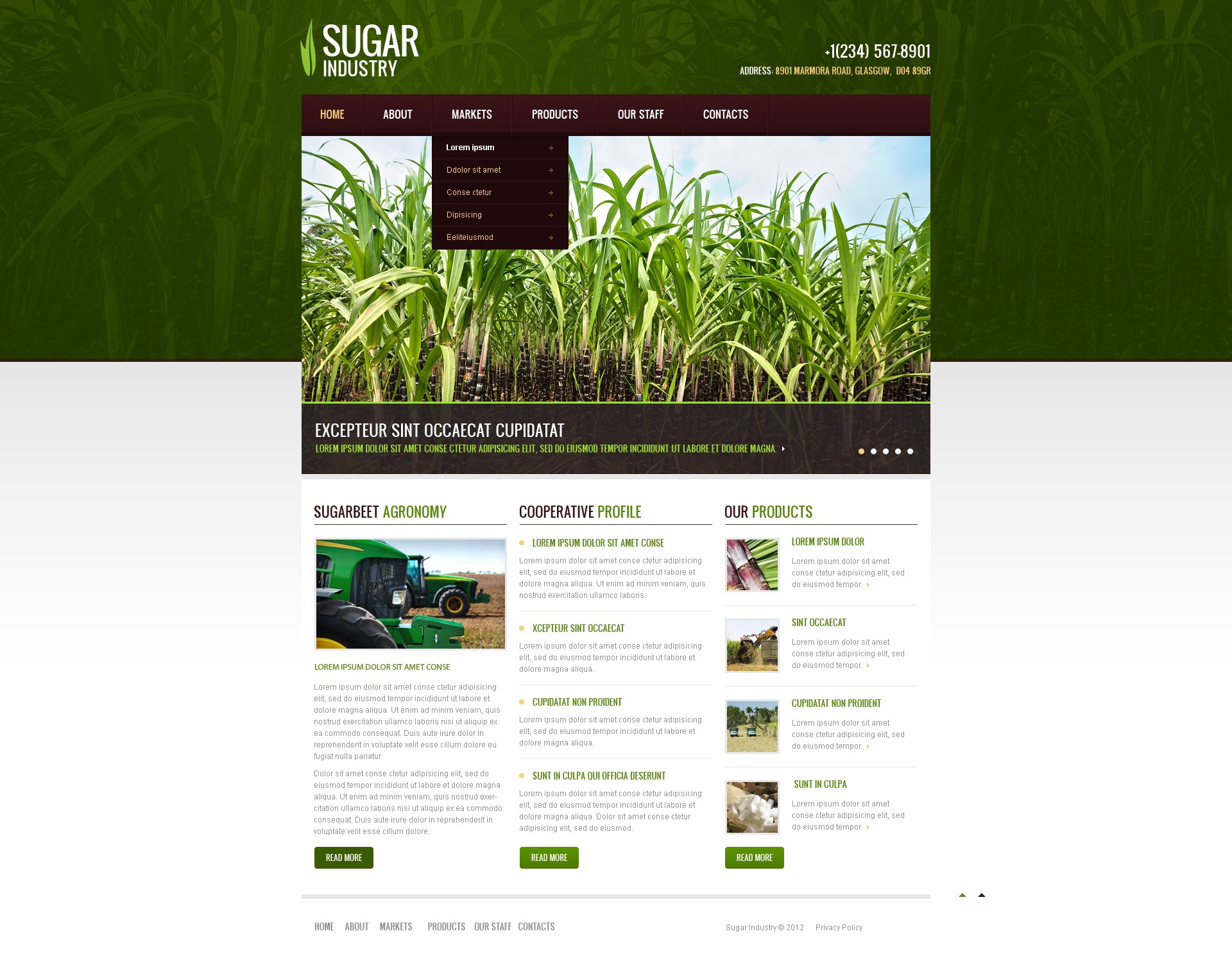 Website Templates