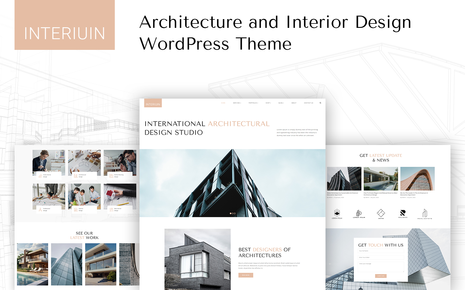 WordPress Themes