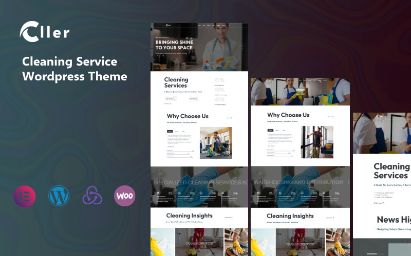 WordPress Themes