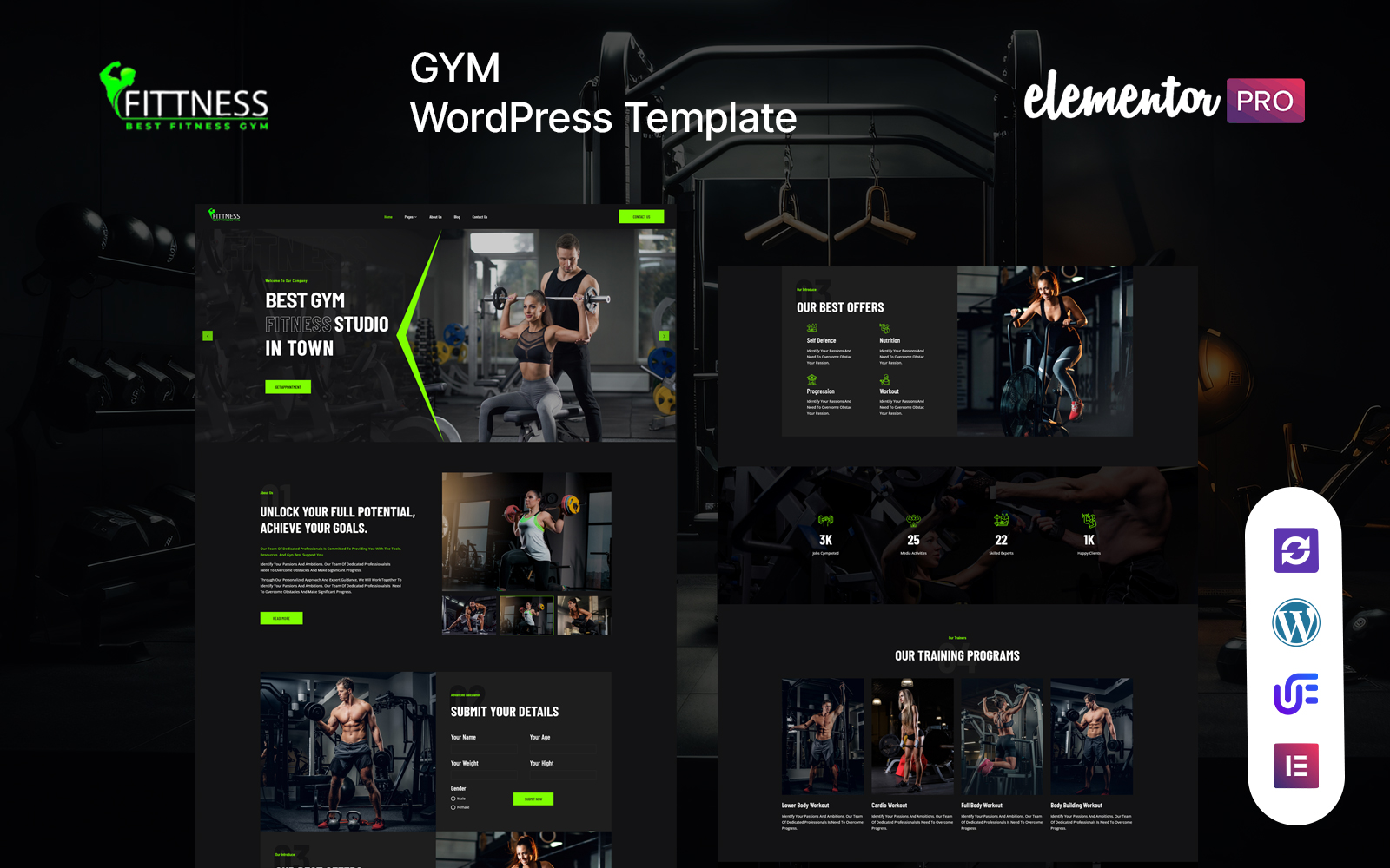 WordPress Themes