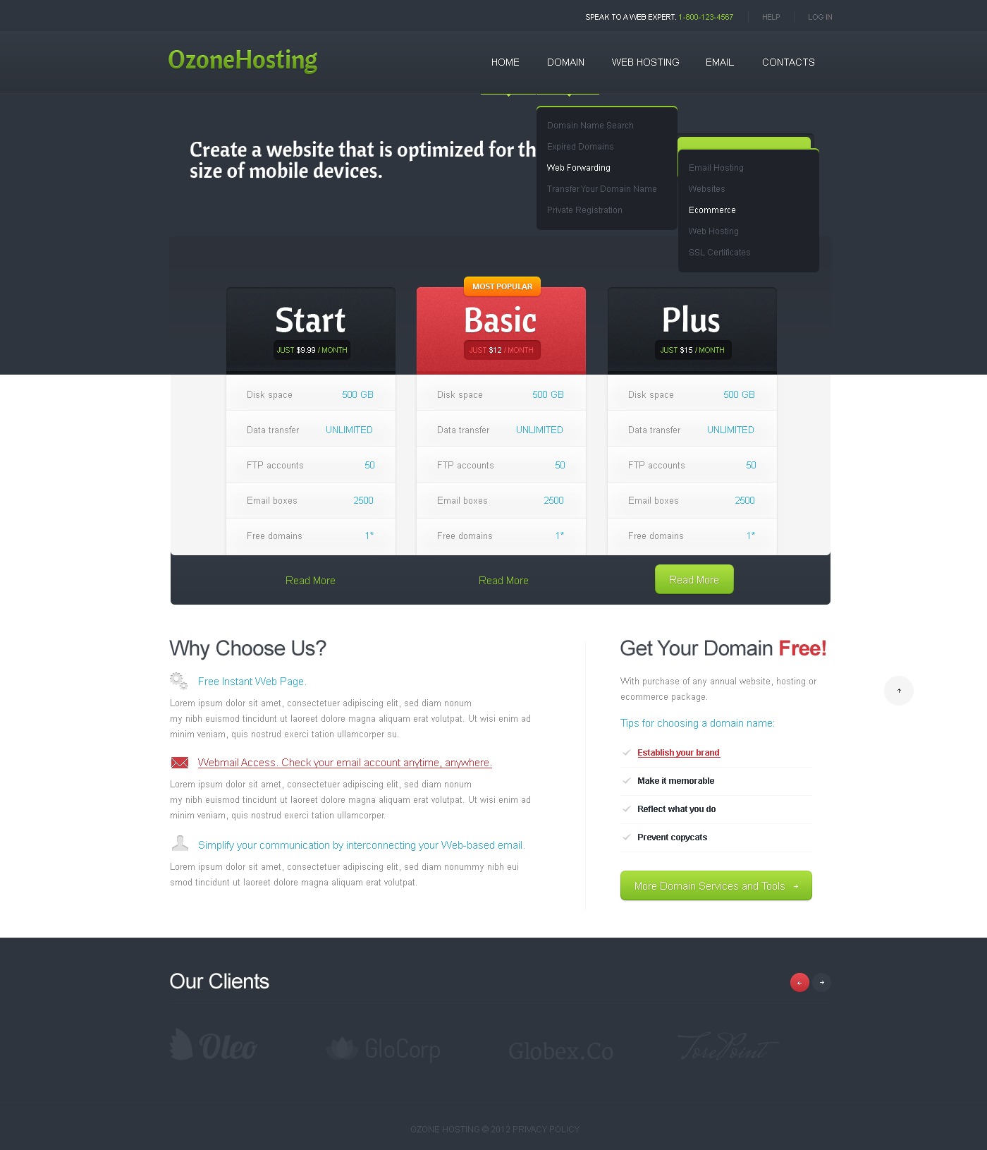 Hosting Website Template