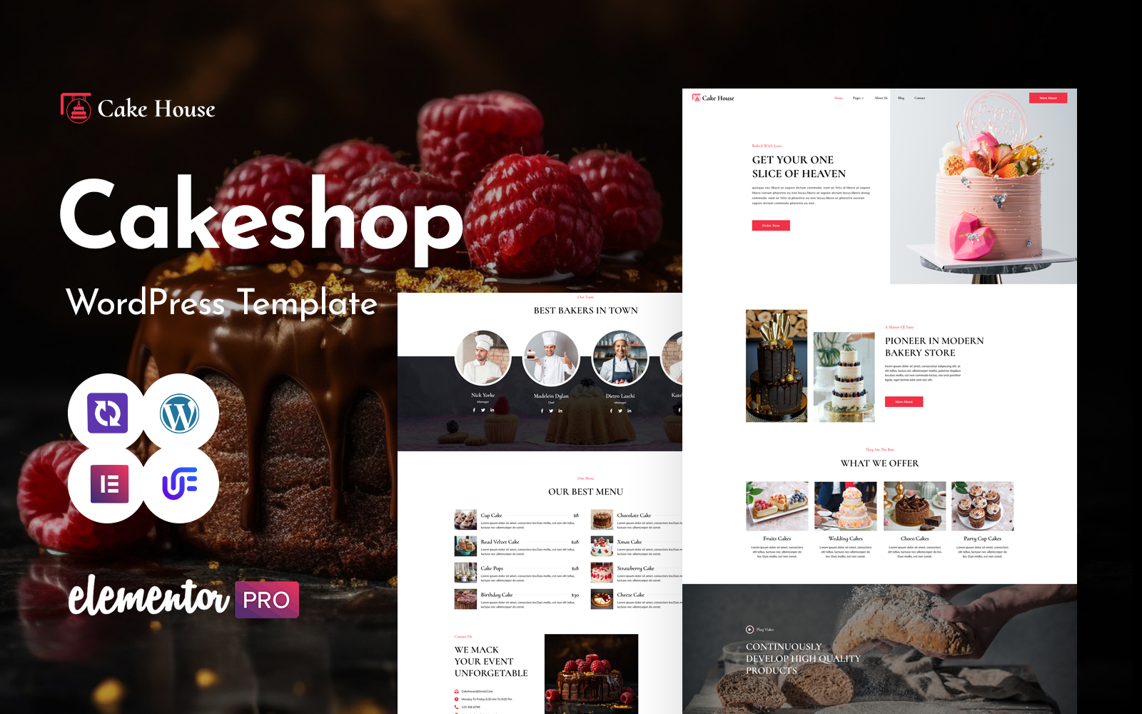 WordPress Themes