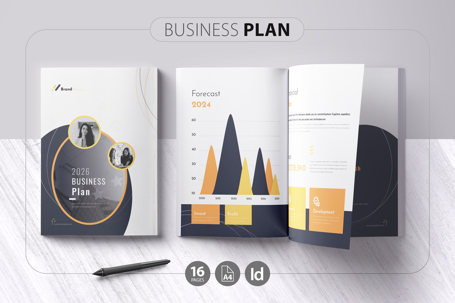 Business Plan Brochure Template - 2024