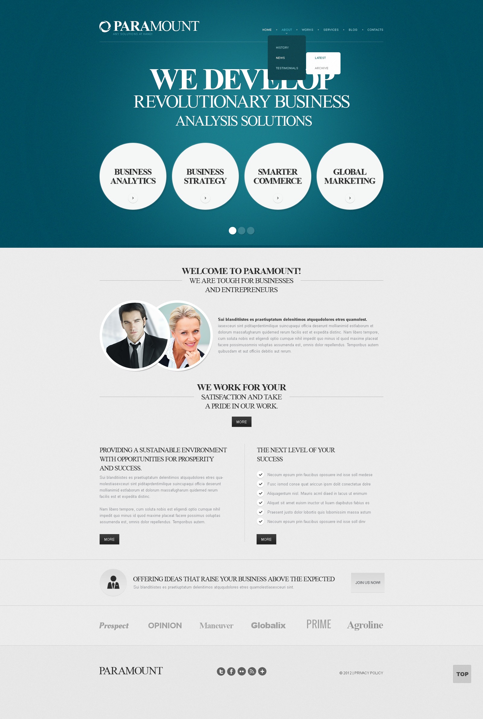 Professional Management Drupal Template