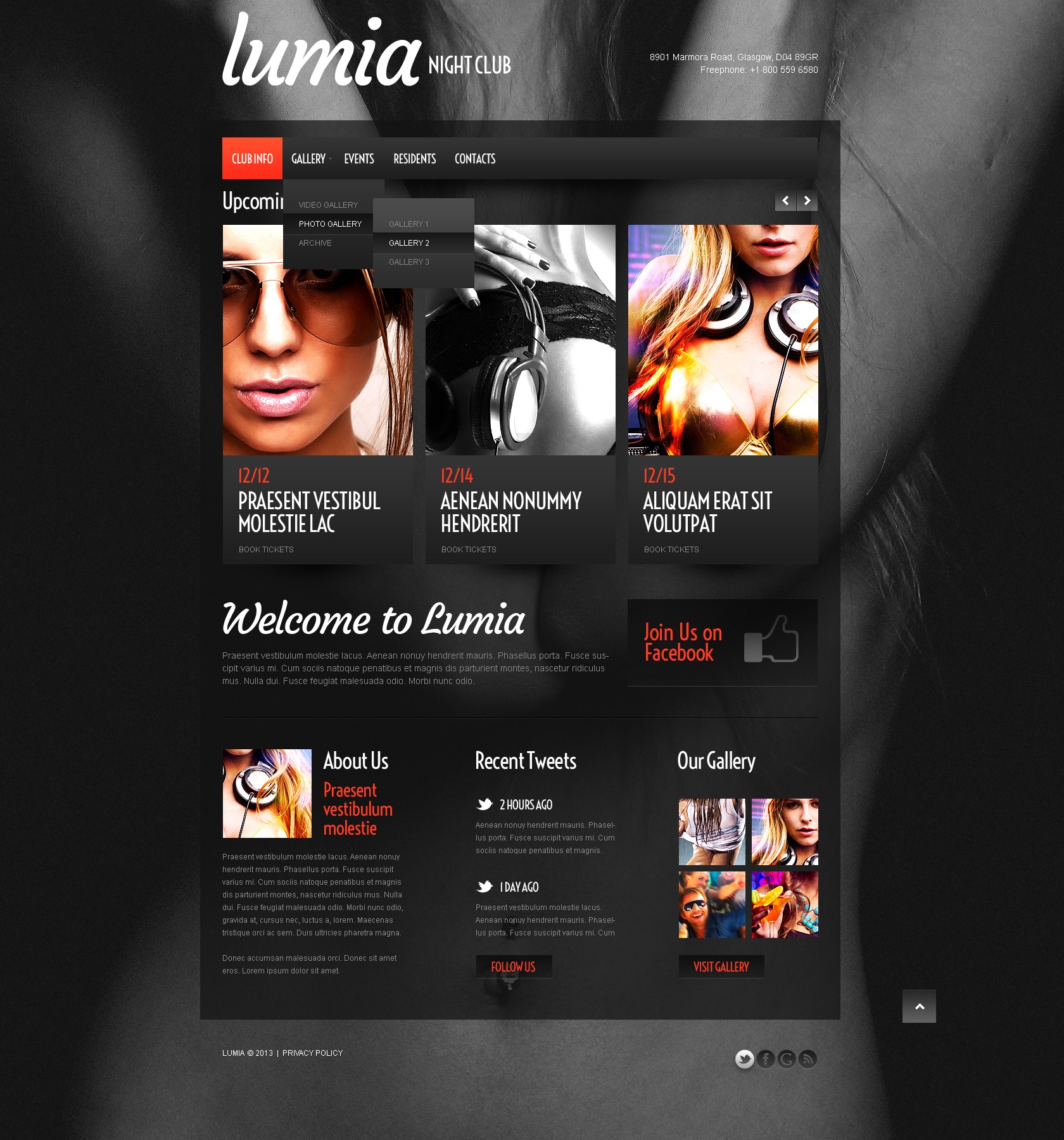 Night Club Responsive Website Template