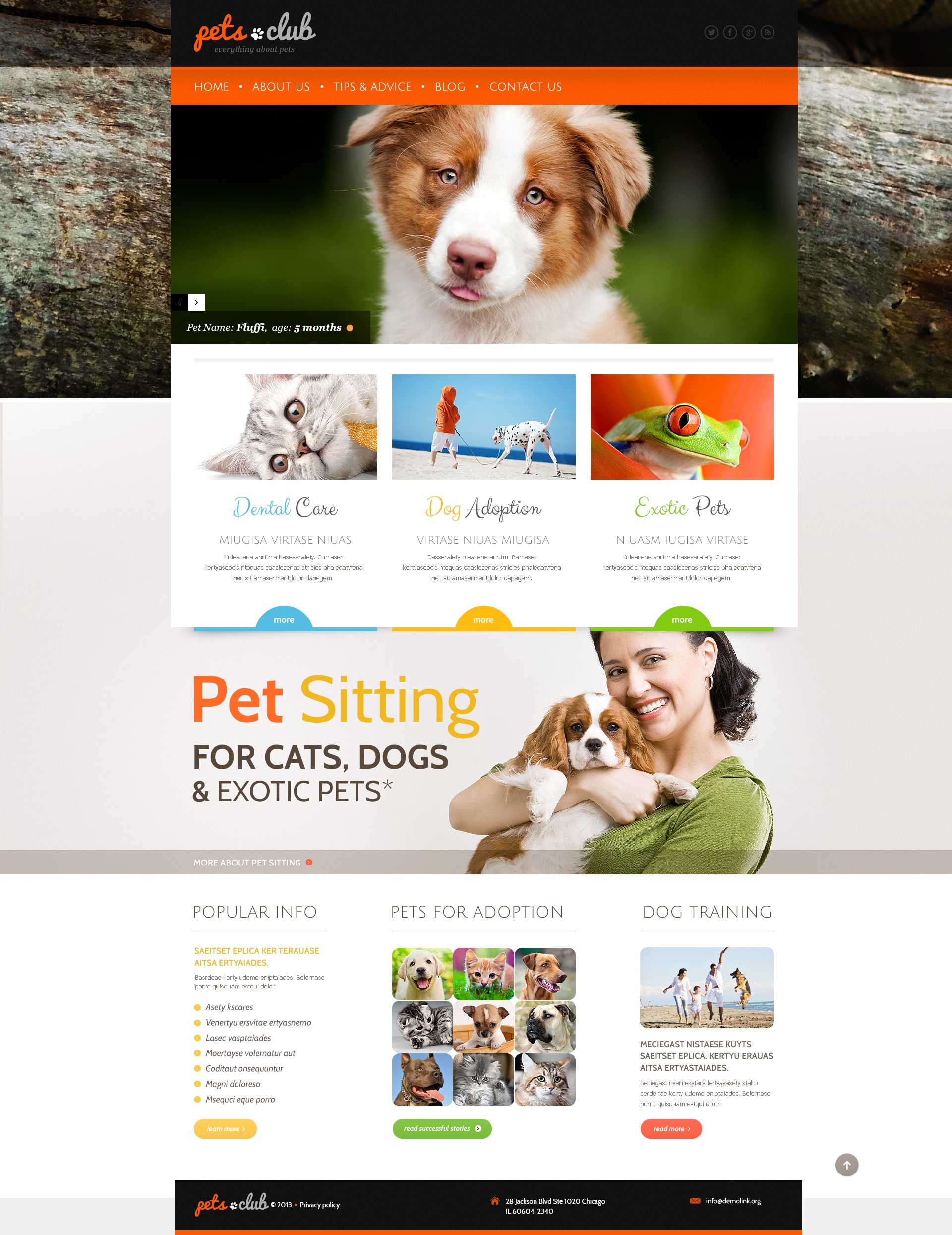 WordPress Themes