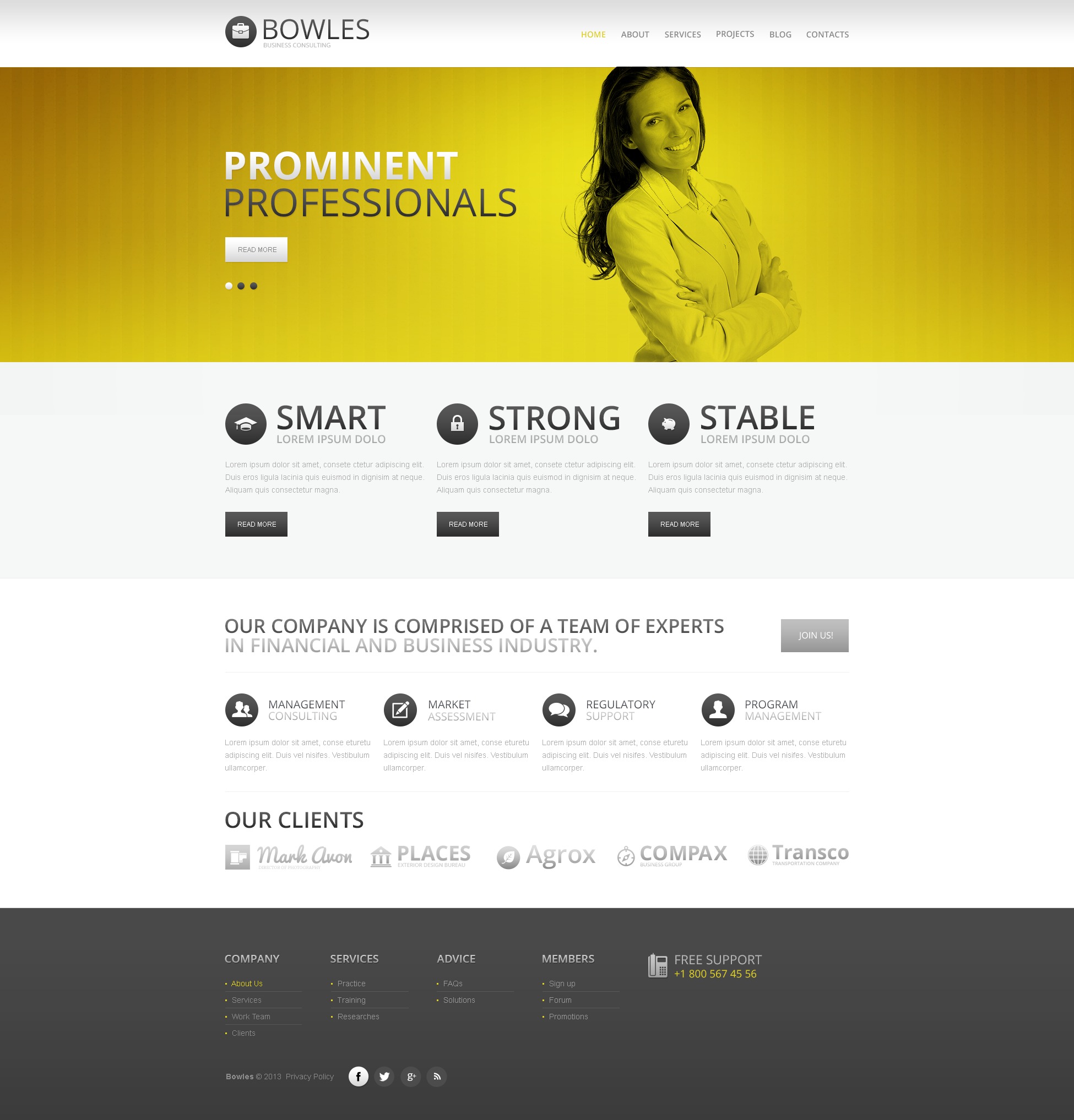 White Consulting Drupal Template