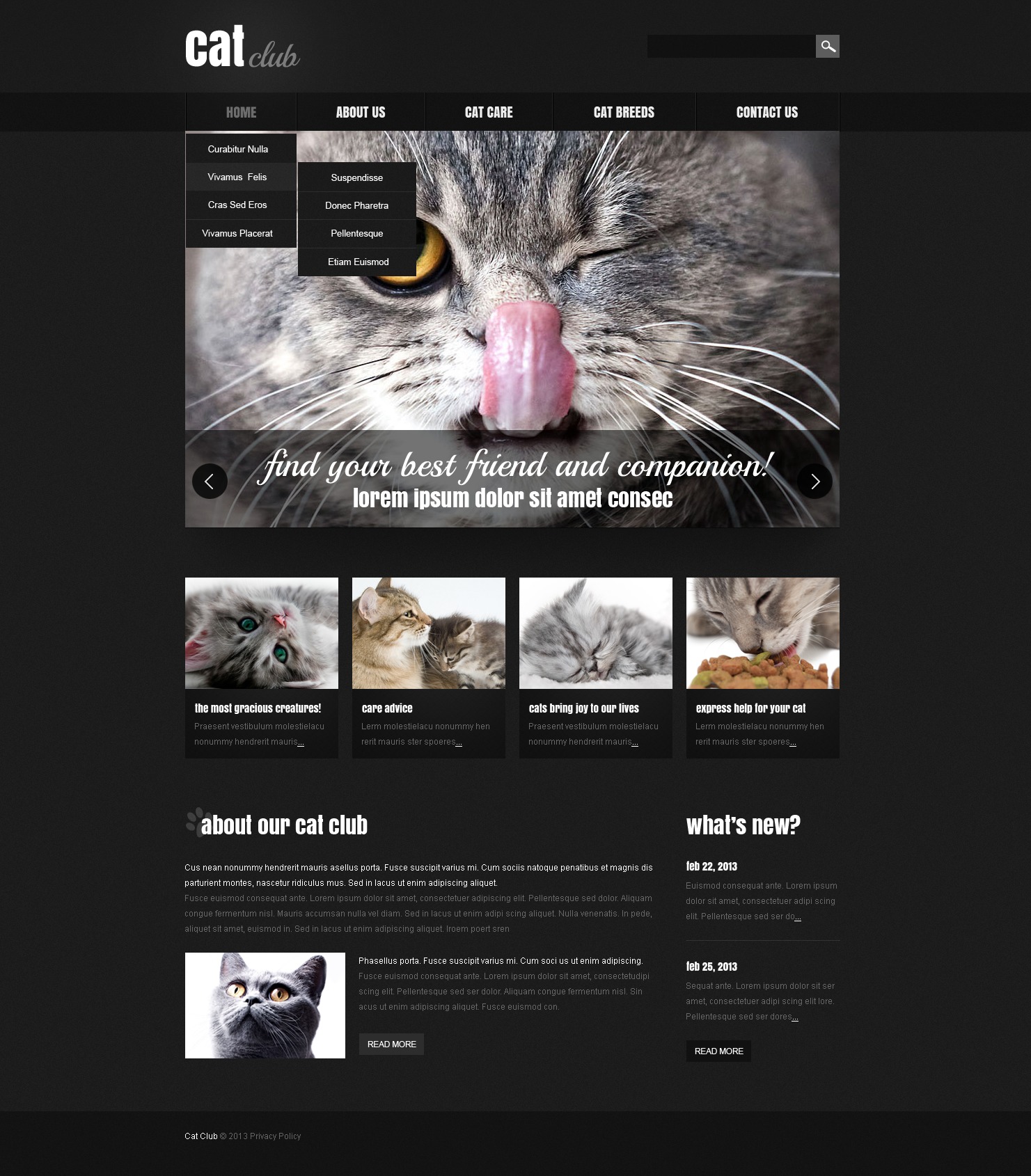 Website Templates