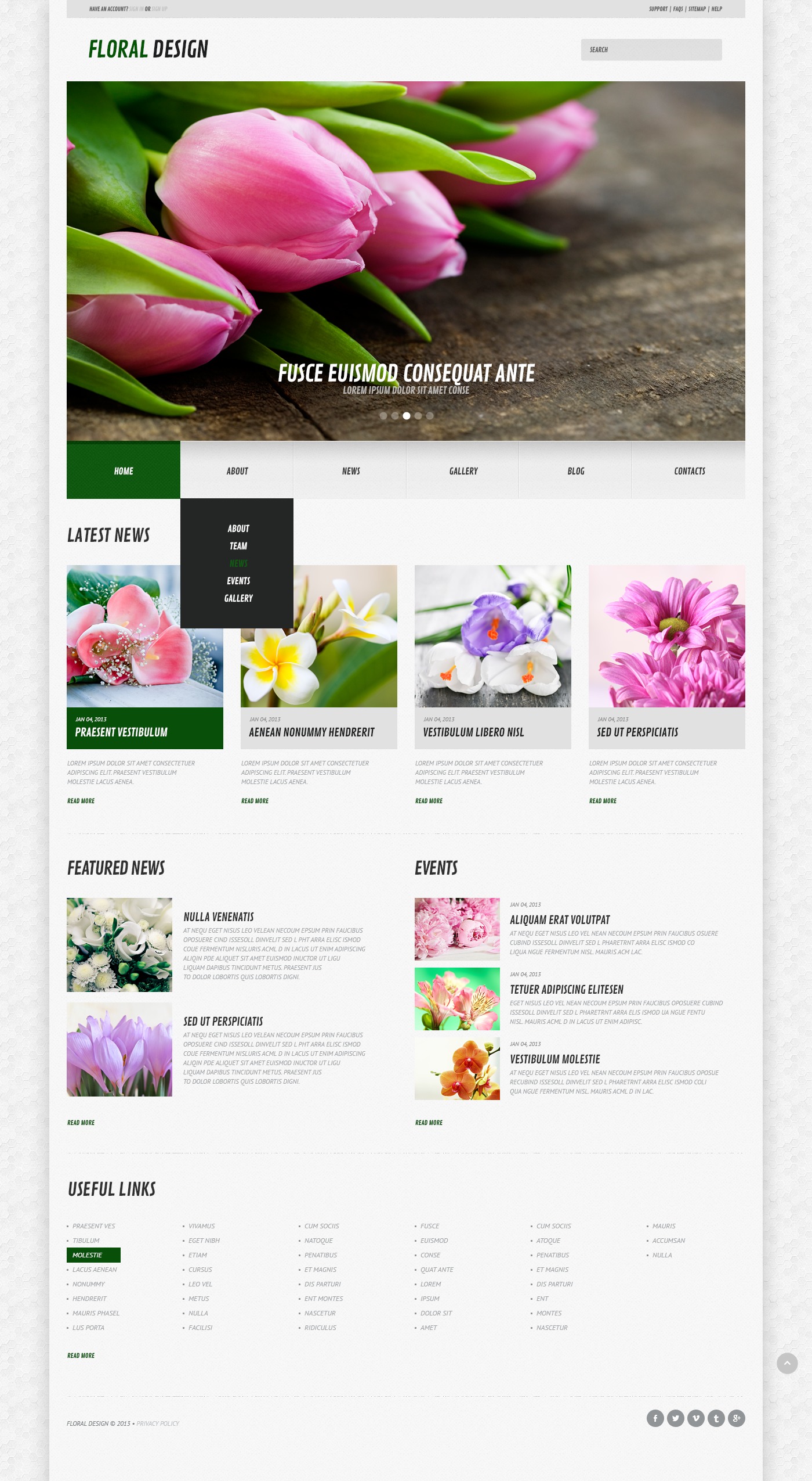 WordPress Themes