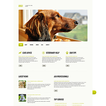 Template Animale de companie WordPress #45579