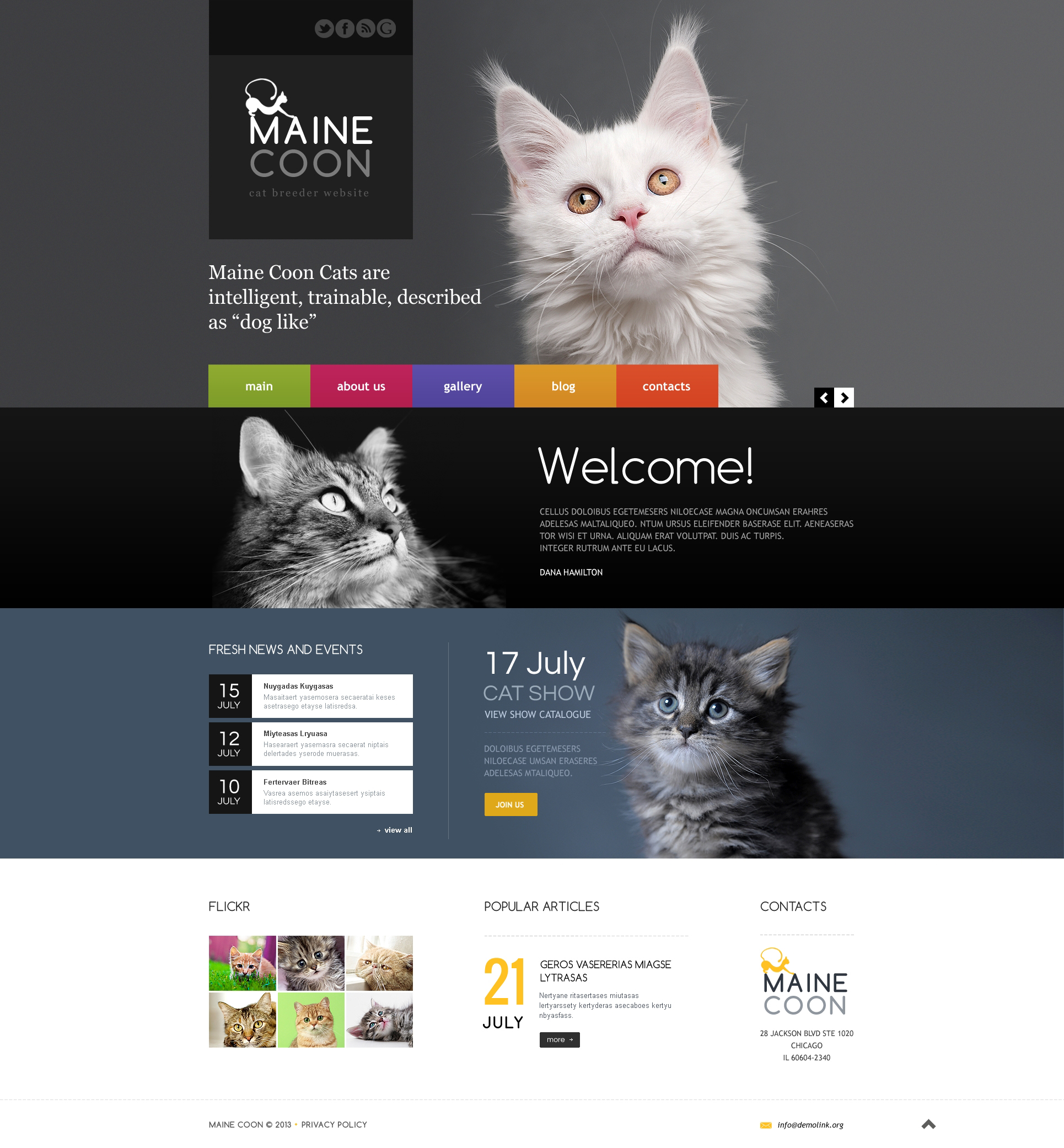 Website Templates