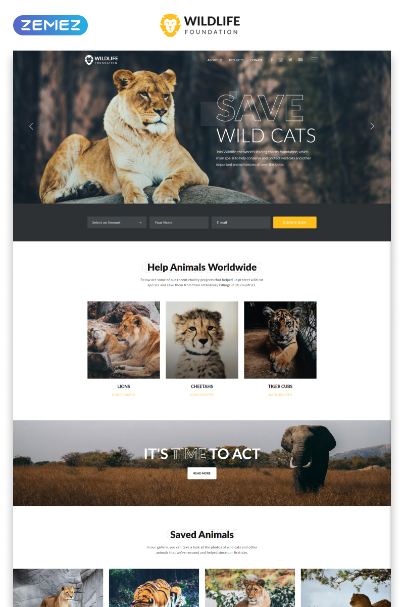 Website Templates