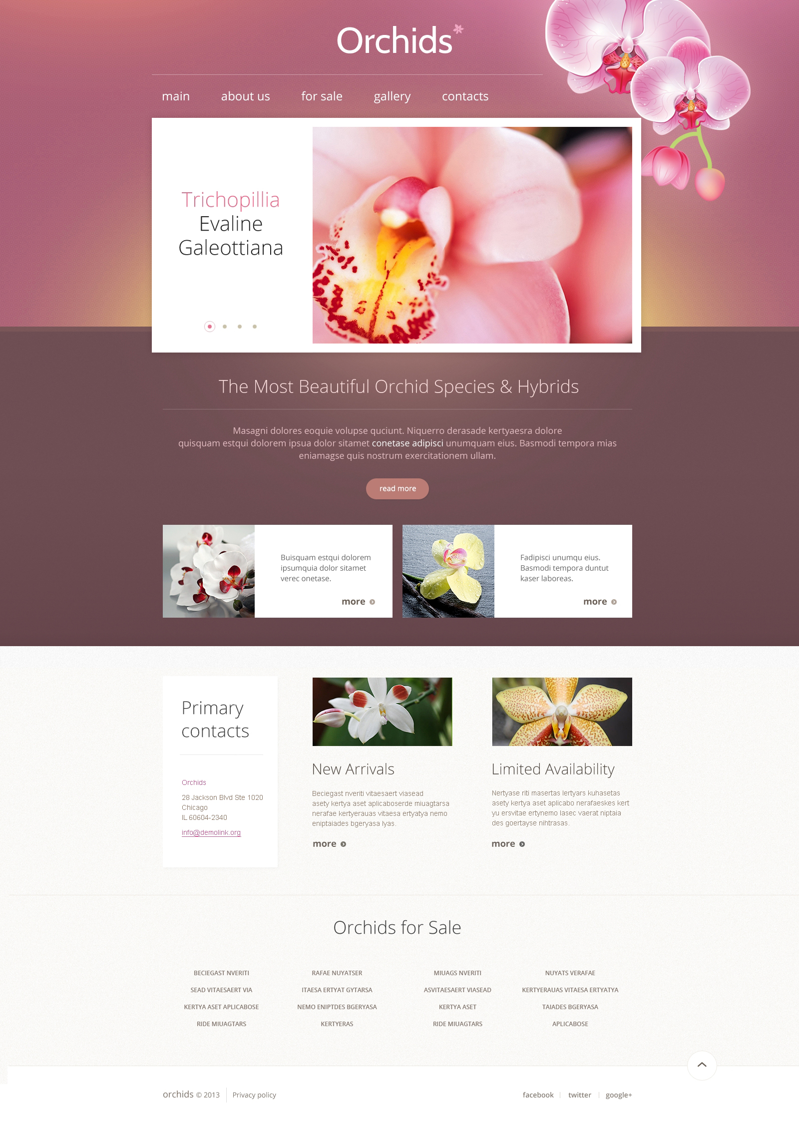 Website Templates