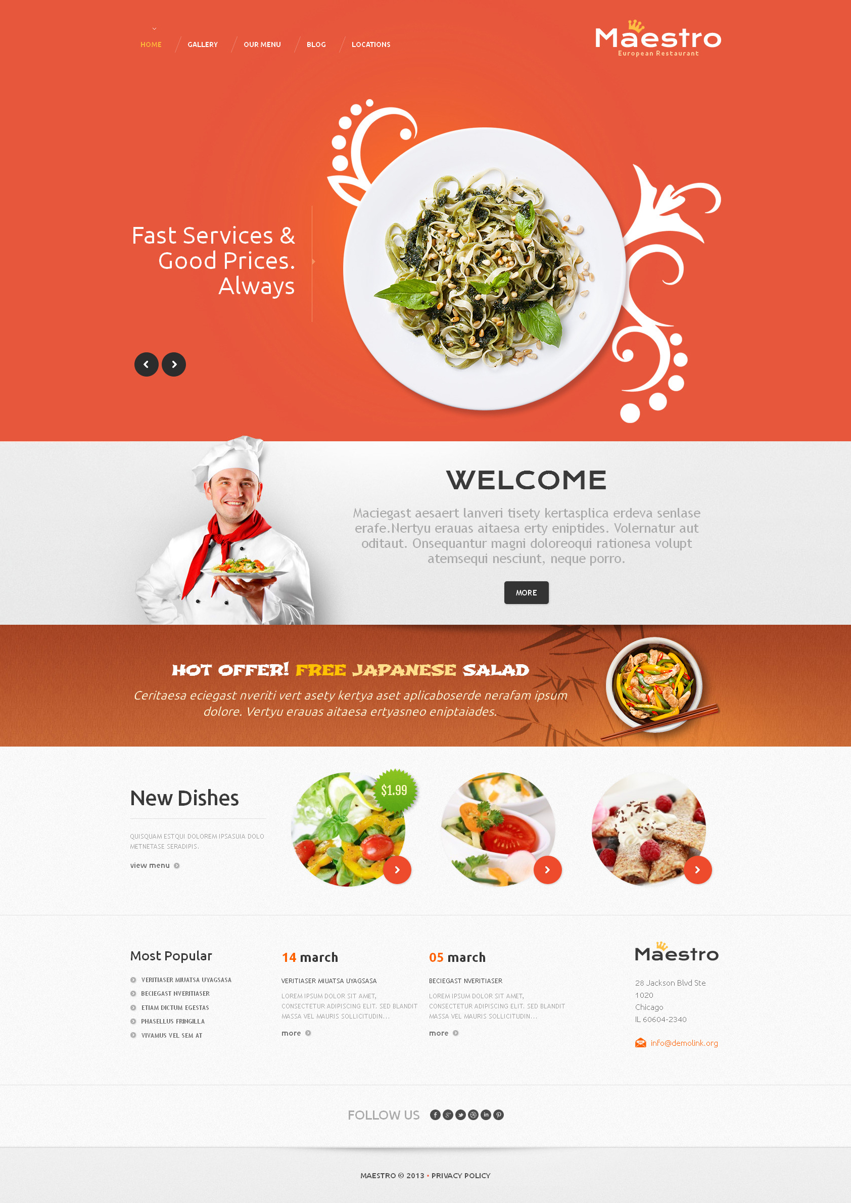 WordPress Themes