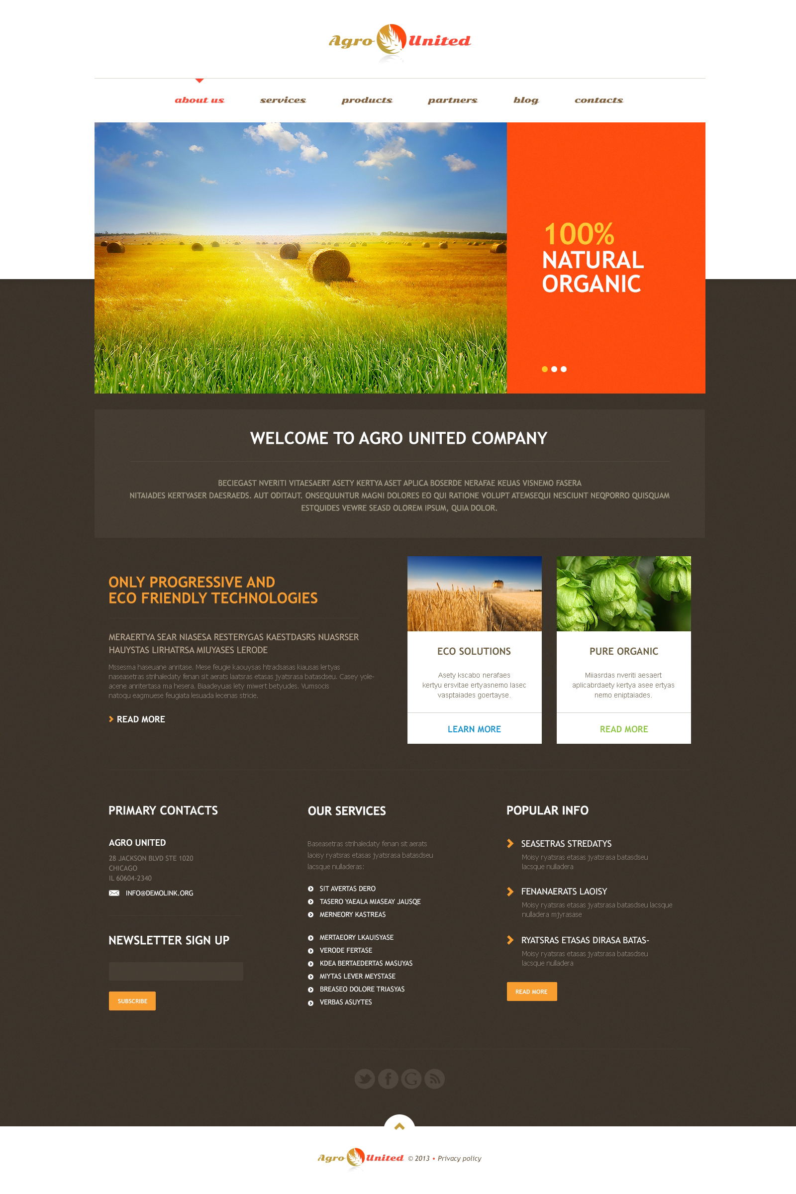 WordPress Themes