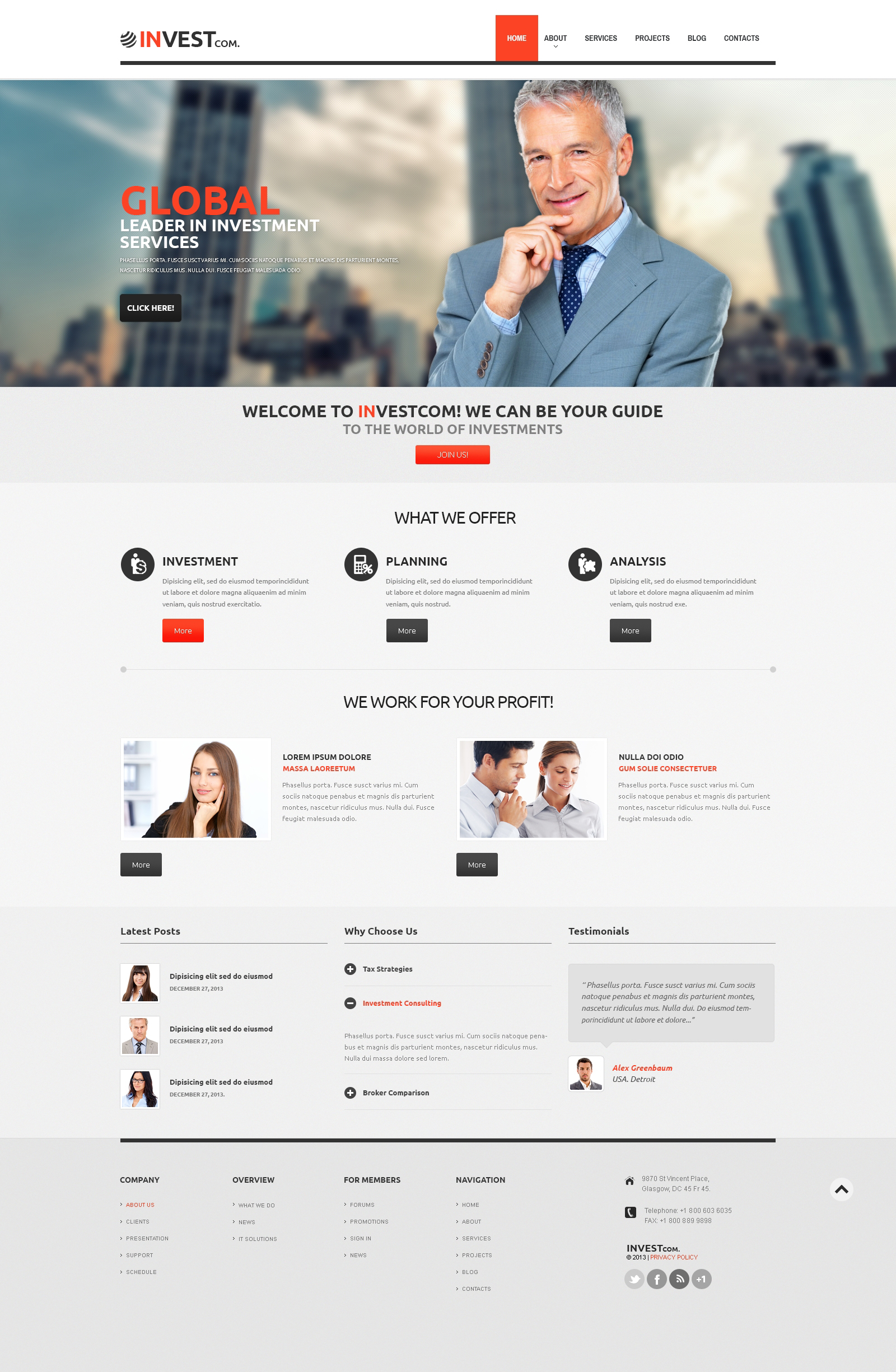 WordPress Themes