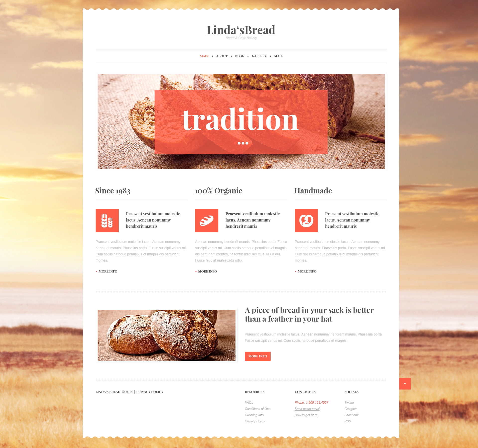 WordPress Themes